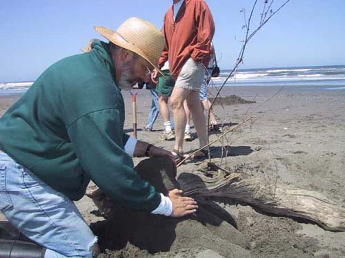 Sand Sculpture