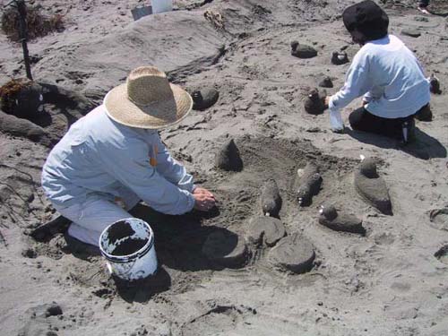 Sand Sculpture