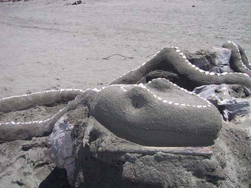 Sand Sculpture