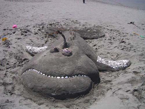 Sand Sculpture