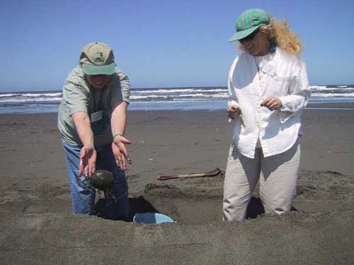 Sand Sculpture