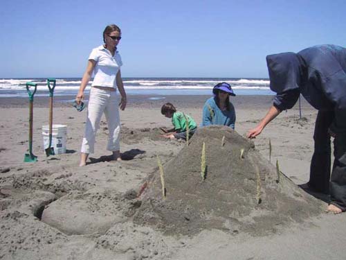 Sand Sculpture