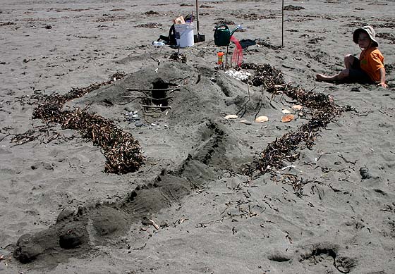 Sand Sculpture