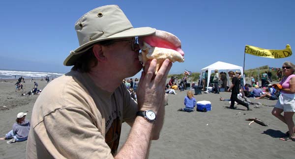 Sand Sculpture Festival