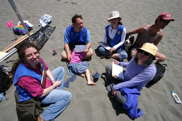 Sand Sculpture Festival