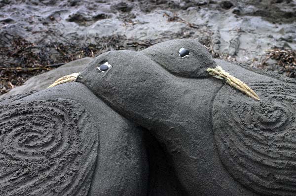 Sand Sculpture Festival