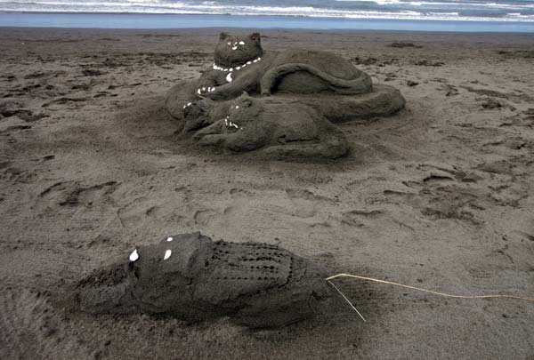 Sand Sculpture Festival