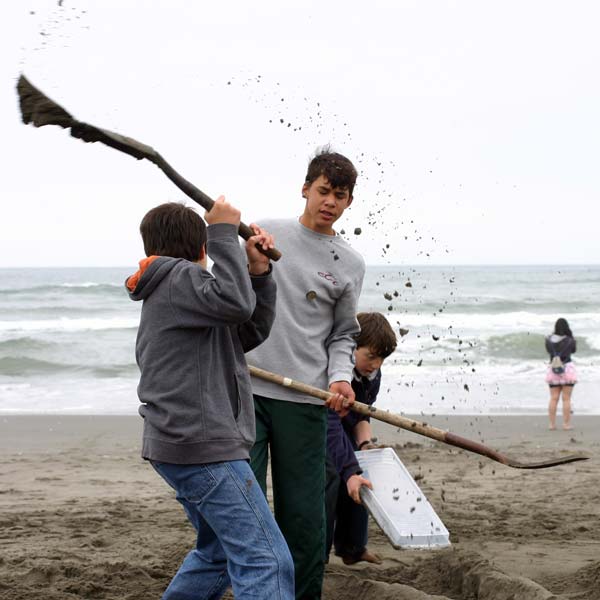 Sand Sculpture Festival