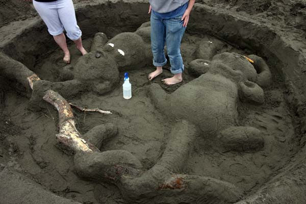 Sand Sculpture Festival