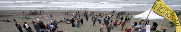 Sand Sculpture Festival