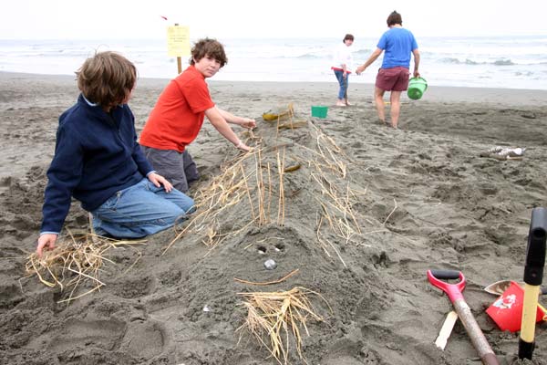 Sand Sculpture Festival