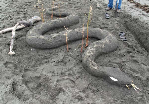 Sand Sculpture Festival