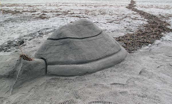 Sand Sculpture Festival