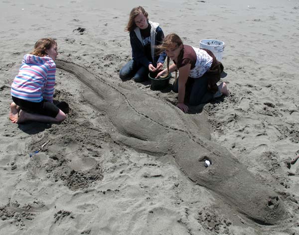 Sand Sculpture Festival