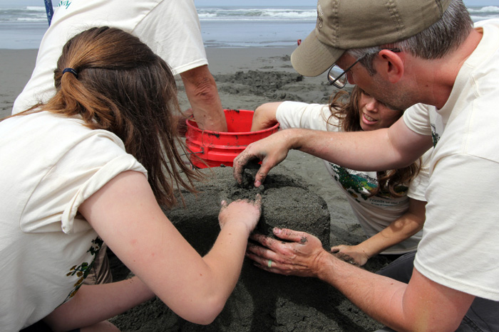 Sand Sculpture Festival