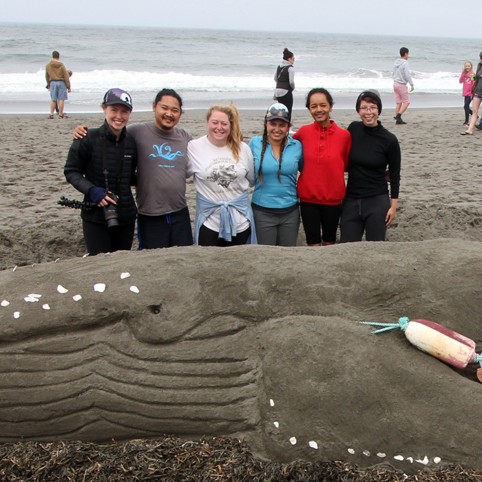 Sand Sculpture Festival