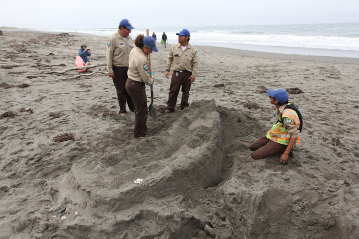 Sand Sculpture Festival