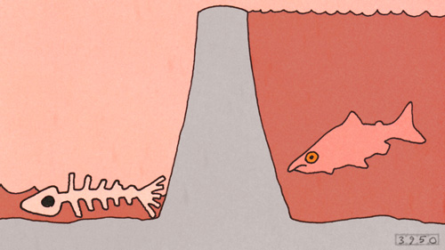 Salmon Deadly Sins